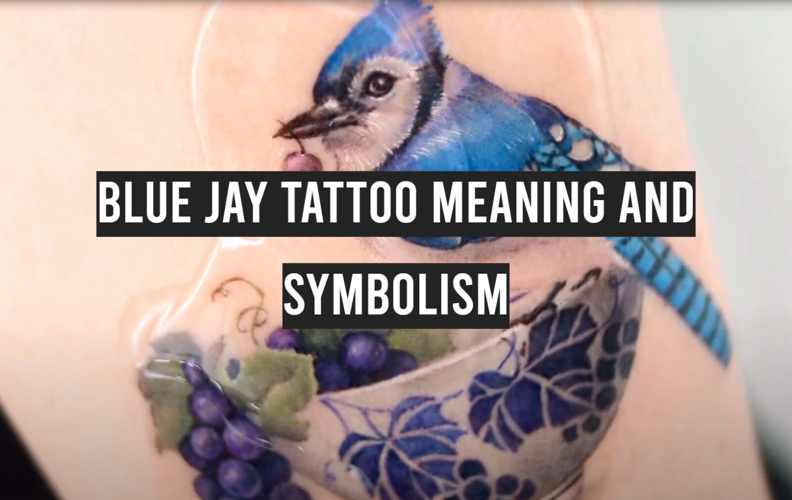 Blue Jay Tattoo Meaning and Symbolism