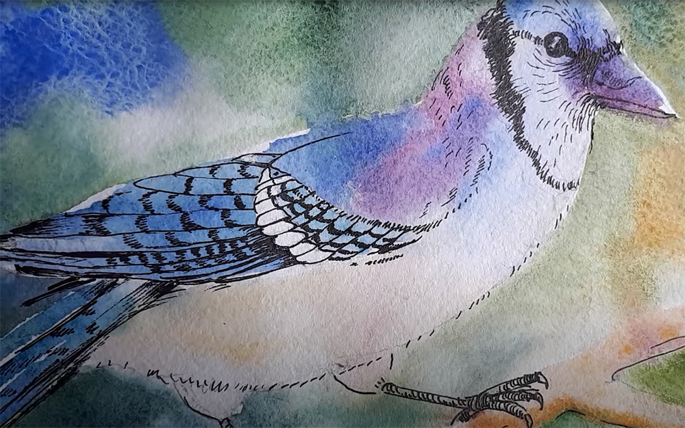 5 spiritual meanings behind the Blue Jay